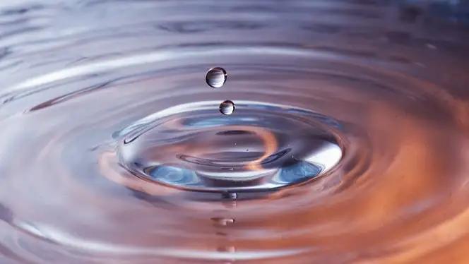 Picture related to paragraph